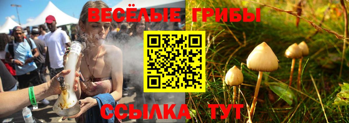Галлюциногенные грибы Magic Shrooms  Псилоцибиновые грибы Magic Shrooms  Вход с VPN  Краснознаменск 